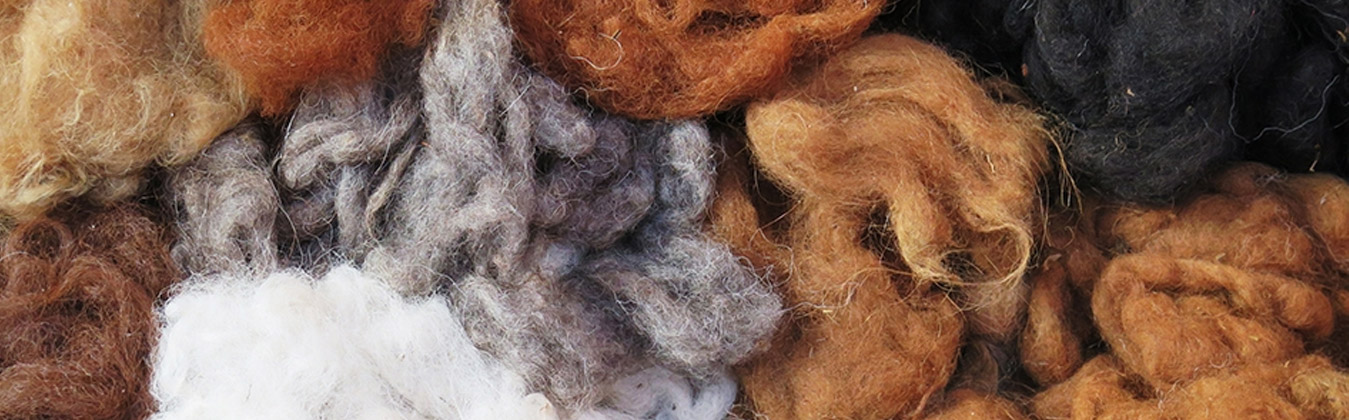 Fabric Fundamentals: How Is Alpaca Fiber Processed? – PAKA®