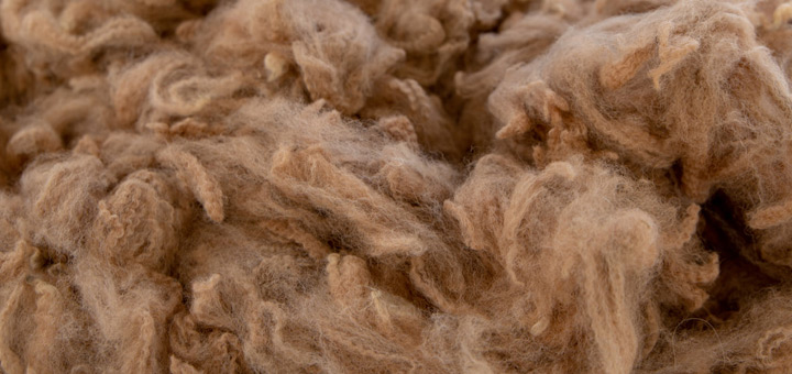 alpaca fiber