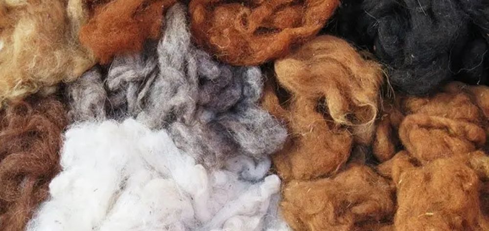 colors alpaca wool